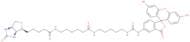 Fluorescein-sp-biotin