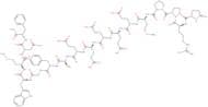 Gastrin I (rat) - acetate salt