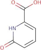 6-Hydroxypicolinic acid