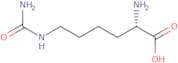 L-Homocitrulline