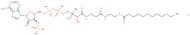 Lauroyl coenzyme A lithium