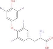 Levothyroxine
