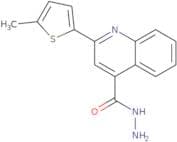 2-(5-Methylthien-2-yl)quinoline-4-carbohydrazide