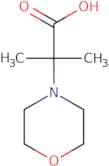 2-Methyl-2-morpholin-4-ylpropanoate hydrochloride