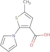 5-METHYL-2-PYRROL-1-YL-THIOPHENE-3-CARBOXYLIC ACID