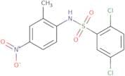 N-(2-Methyl-4-nitrophenyl)-2,5-dichlorobenzenesulfonamide