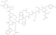 a-Melanocyte Stimulating Hormone
