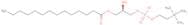 1-Myristoyl-sn-glycero-3-phosphocholine