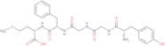 Met-Enkephalin