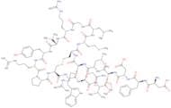 Melanin concentrating hormone