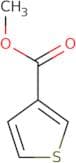 Methyl Thiophene-3-carboxylate