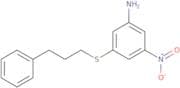 3-Nitro-5-[(3-phenylpropyl)thio]aniline