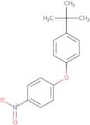 4-Nitro-4'-t-butyl diphenylether