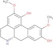 Norisoboldine