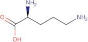 L-Ornithine