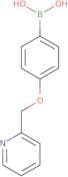 4-(Pyridin-2-ylmethoxy)phenylboronic acid