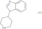 1-(Piperidin-4-yl)-1H-1,3-benzodiazolehydrochloride