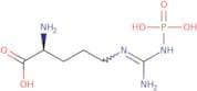 N-Phospho-L-arginine lithium salt hydrate