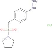 4-(1-Pyrrolidinylsulforylmenthyl)phenylhydrazine hydrochloride