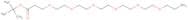 H2N-PEG6-tBu