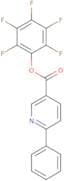 Pentafluorophenyl 6-phenylnicotinate