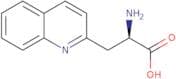 3-(2'-Quinolyl)-D-alanine