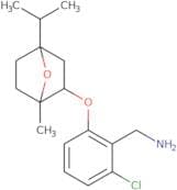 {2-Chloro-6-[(4-isopropyl-1-methyl-7-oxabicyclo[2.2.1]hept-2-yl)oxy]phenyl}methanamine