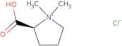 Stachydrine hydrochloride