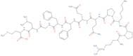 Substance P, Free Acid