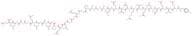 (Tyr0)-C-Peptide (dog)