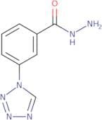 3-(1H-Tetrazol-1-yl)benzohydrazide
