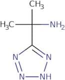 2-(1H-1,2,3,4-Tetrazol-5-yl)propan-2-amine
