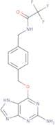 O6-[4-(Trifluoroacetamidomethyl)benzyl]guanine
