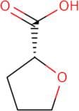 (R)-(+)-Tetrahydro-2-furoic acid