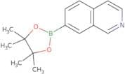 7-(4,4,5,5-Tetramethyl-1,3,2-dioxaborolan-2-yl)isoquinoline