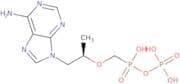 Tenofovir phosphate