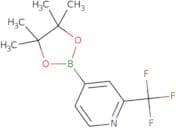 2-Trifluoromethylpyridine-4-boronic acid pinacol ester