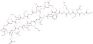 C-Type Natriuretic Peptide (1-22), human