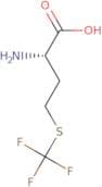 S-(Trifluoromethyl)-L-homocysteine