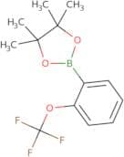 2-(Trifluoromethoxy)Phenylboronic Acid, Pinacol Ester