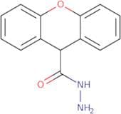 9H-Xanthene-9-carbohydrazide