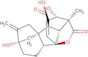 Gibberellic acid