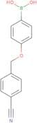 (4-((4-Cyanobenzyl)oxy)phenyl)boronic acid