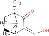 anti-(1R)-(+)-Camphorquinone 3-Oxime