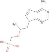 rac Tenofovir-13C5