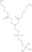 4-chloro-5-nitro-1h-indazole