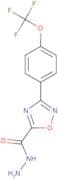 3-(4-(Trifluoromethoxy)phenyl)-1,2,4-oxadiazole-5-carbohydrazide