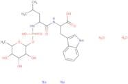 Phosphoramidon