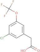 3-Chloro-5-(trifluoromethoxy)phenylacetic acid