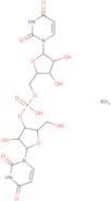 Urate oxidase (from Yeast)
